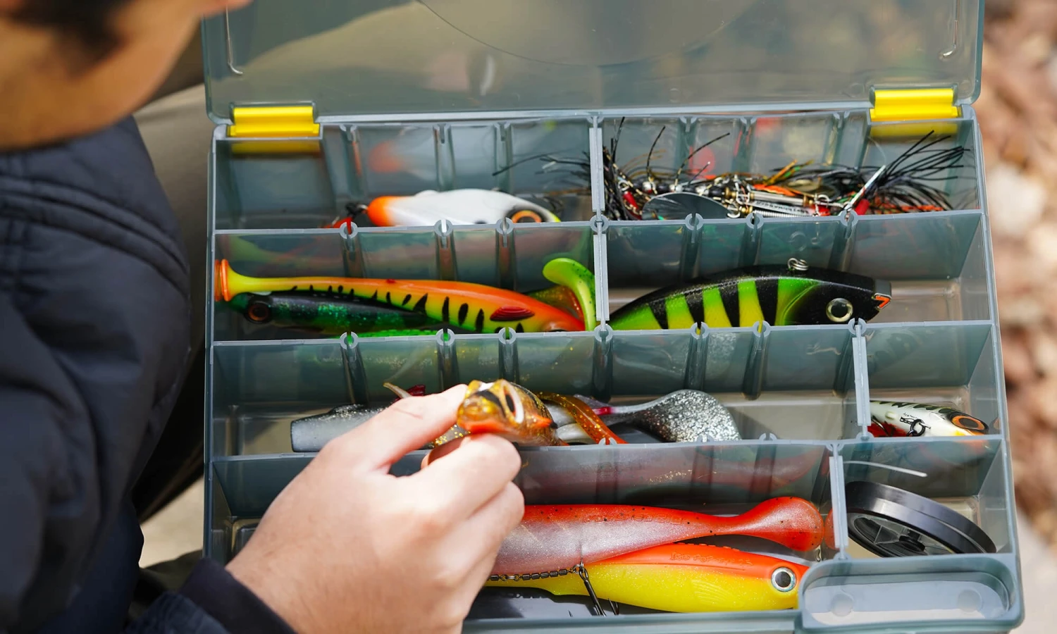 Sport Vis Winkel -Sport Vis Winkel tai xuong 2025 09 03T200109.700